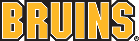 Boston Bruins 1995-2007 Wordmark Logo DIY iron on transfer (heat transfer)